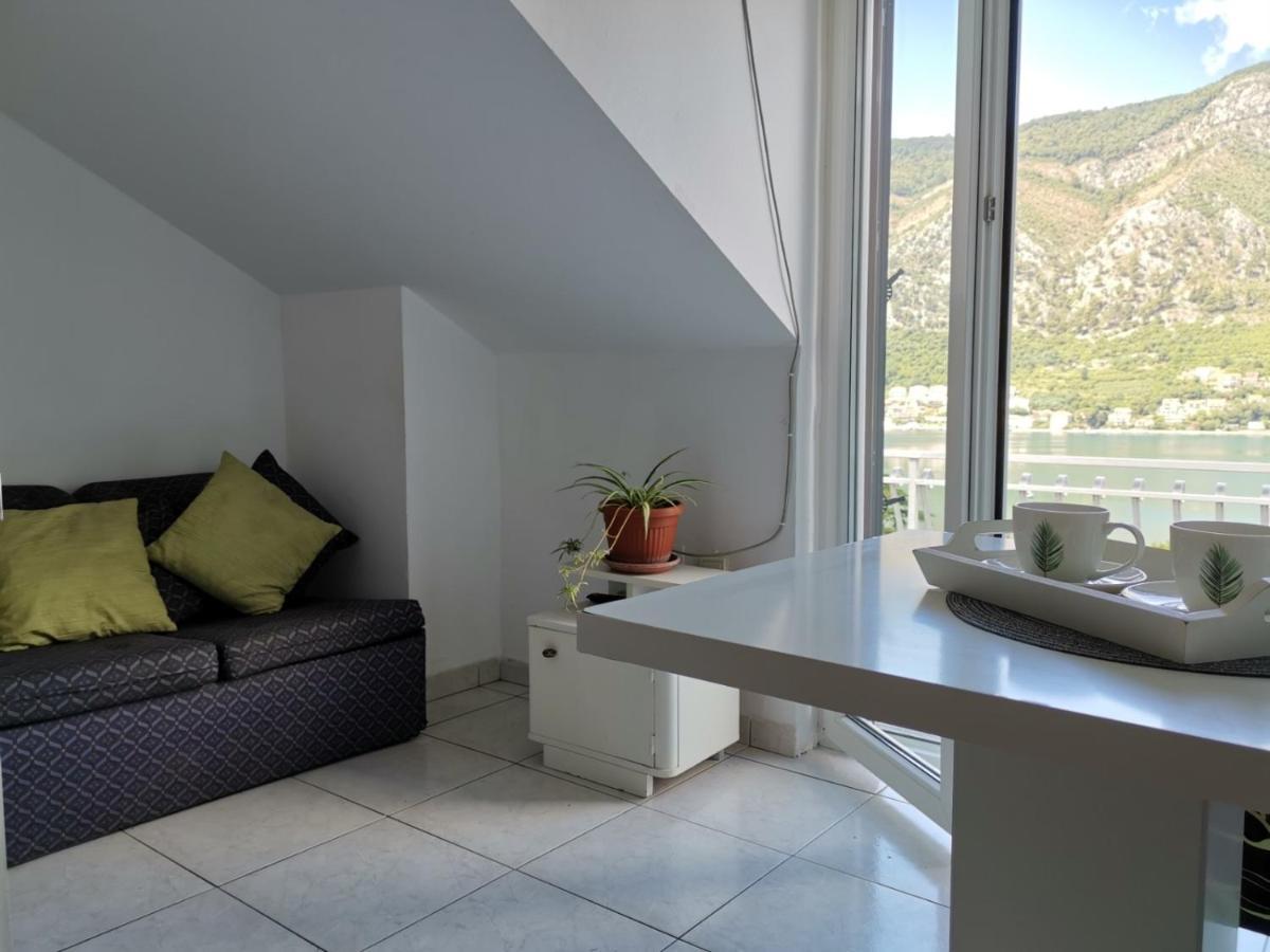 Apartments Coso Zlatne Njive Bb Kotor Dış mekan fotoğraf