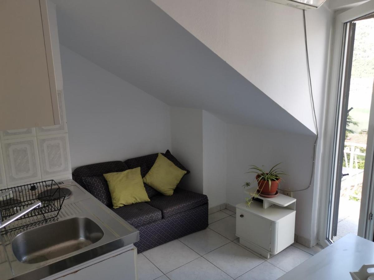 Apartments Coso Zlatne Njive Bb Kotor Dış mekan fotoğraf