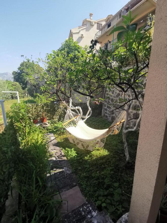 Apartments Coso Zlatne Njive Bb Kotor Dış mekan fotoğraf