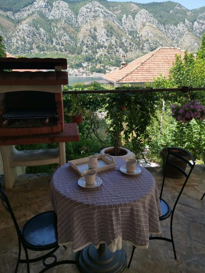 Apartments Coso Zlatne Njive Bb Kotor Dış mekan fotoğraf