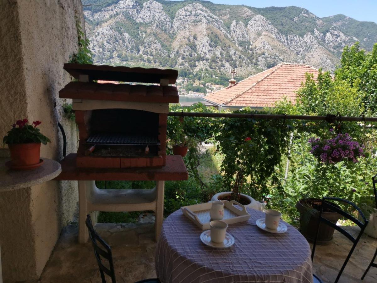 Apartments Coso Zlatne Njive Bb Kotor Dış mekan fotoğraf
