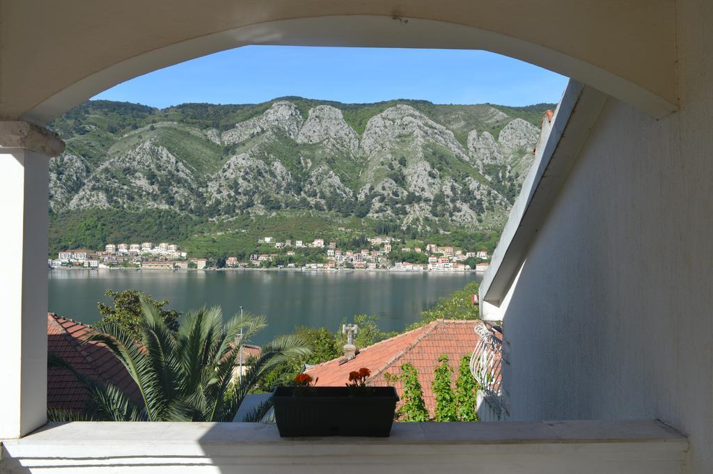 Apartments Coso Zlatne Njive Bb Kotor Dış mekan fotoğraf
