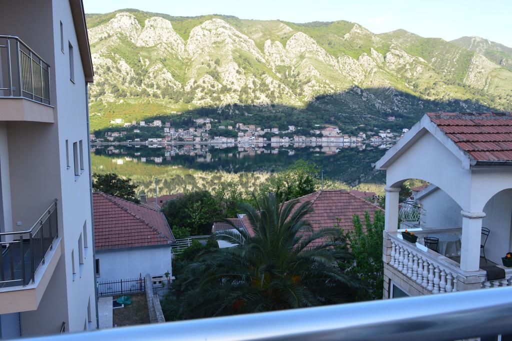 Apartments Coso Zlatne Njive Bb Kotor Dış mekan fotoğraf