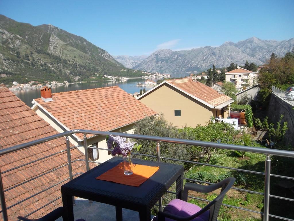 Apartments Coso Zlatne Njive Bb Kotor Dış mekan fotoğraf