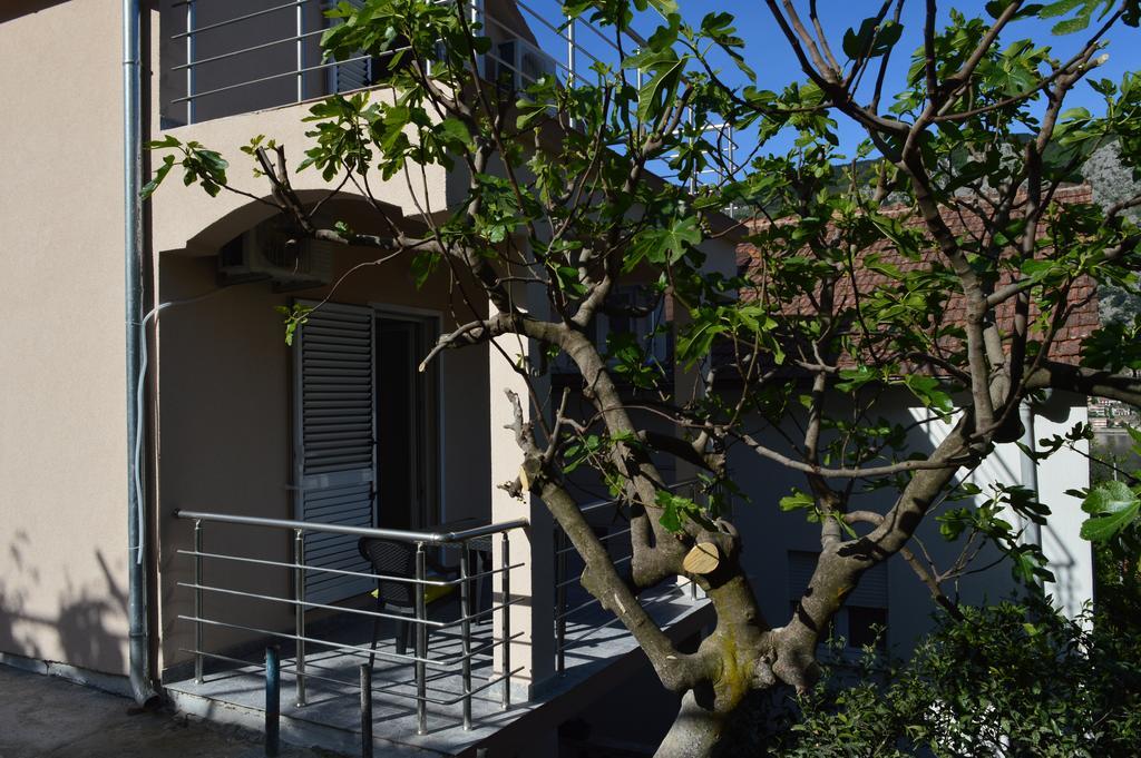 Apartments Coso Zlatne Njive Bb Kotor Dış mekan fotoğraf